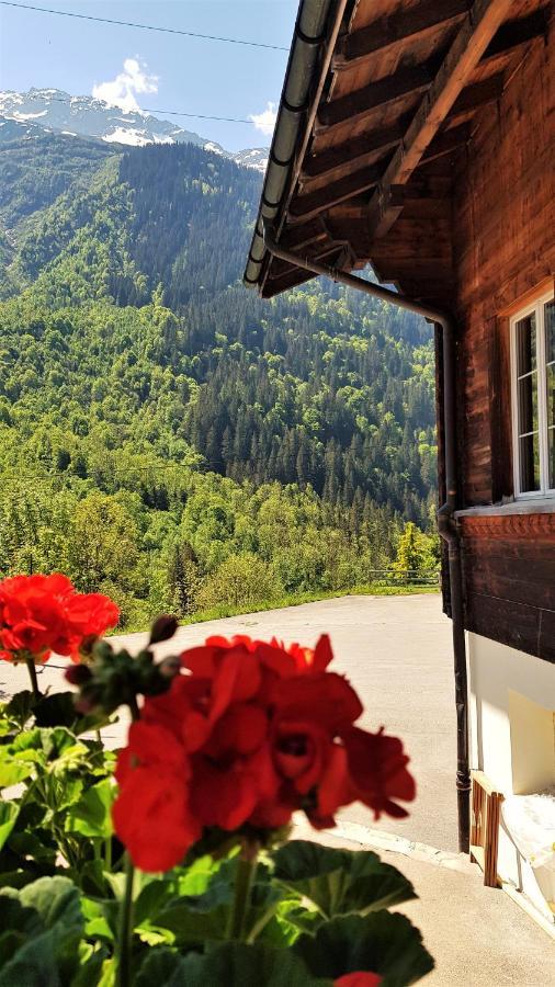 Gadmen Triftblick Bed & Breakfast エクステリア 写真
